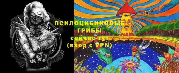 мяу мяу мука Баксан