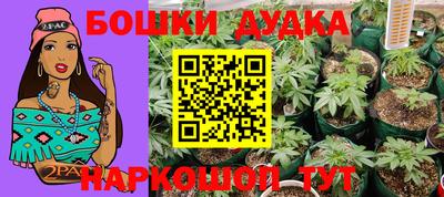 ГАЛЛЮЦИНОГЕННЫЕ ГРИБЫ Баксан