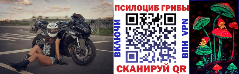 Псилоцибиновые грибы мицелий Белово