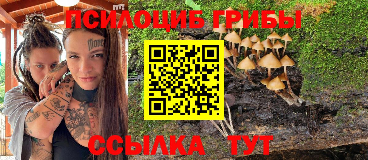 Галлюциногенные грибы Magic Shrooms  Вход с VPN  Белово 